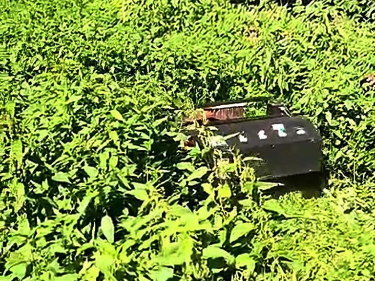 German Customer Praises VTLM800 for Safe and Powerful Mowing in Overgrown Grassland