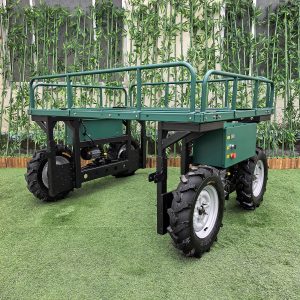 Remote Control Transport Platform (RTP880)